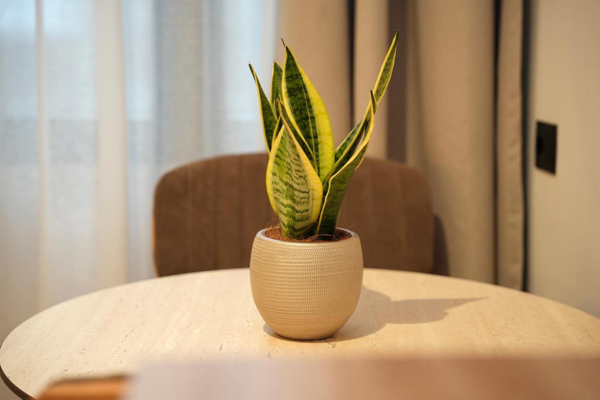 Apartamento Nea Deluxe